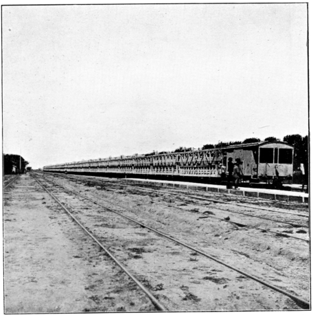 Cattle Train on Central Argentine Railway, bringing Cattle to Barrancosa.