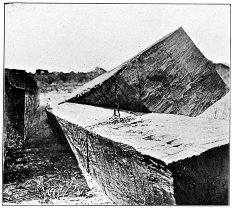 Square Quebracho Logs worked by the Axeman, showing Resin oozing therefrom.