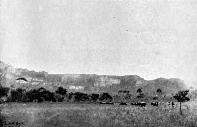 Author's Caravan in the Heart of Matto Grosso.