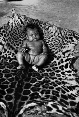 Matto-Grosso Girl, a Mixture of Portuguese, Indian and Negro Blood.