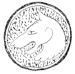 colophon