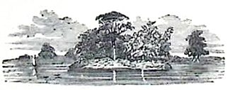 image021
