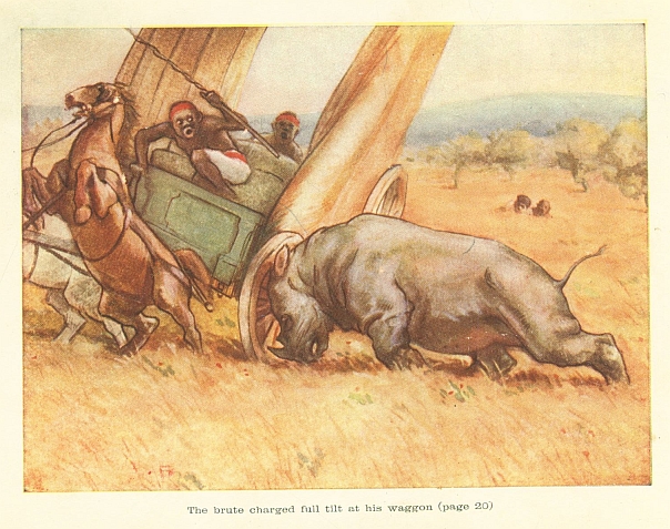 The brute charged full tilt at his waggon