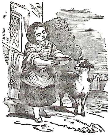image003