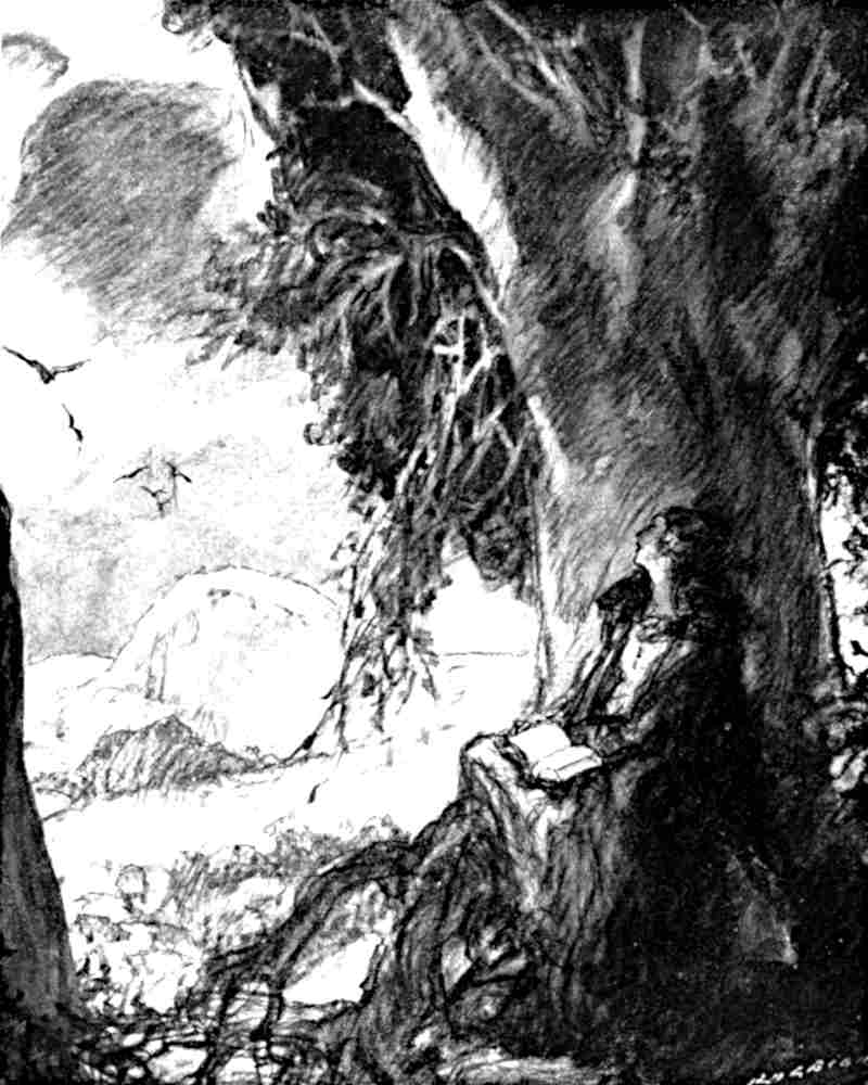 Drawing of a woman leaning against a large tree.  She looks into the distance, with a book open in her lap.