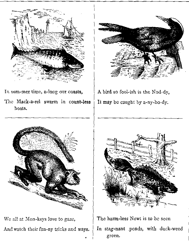 In Sum-mer Time, A-long Our Coasts.
The Mack-a-rel Swarm in Count-less Hosts.
