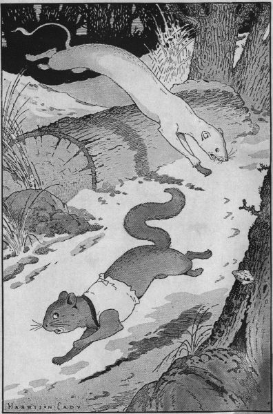 HAPPY JACK TRIED EVERY TRICK HE KNEW TO GET AWAY FROM
SHADOW THE WEASEL.