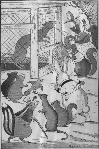 IT WASN'T LONG BEFORE SHADOW BEGAN TO RECEIVE MANY
VISITORS.