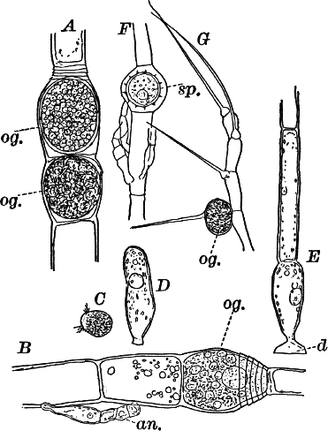 Fig.&nbsp;16.