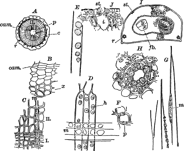 Fig.&nbsp;76.