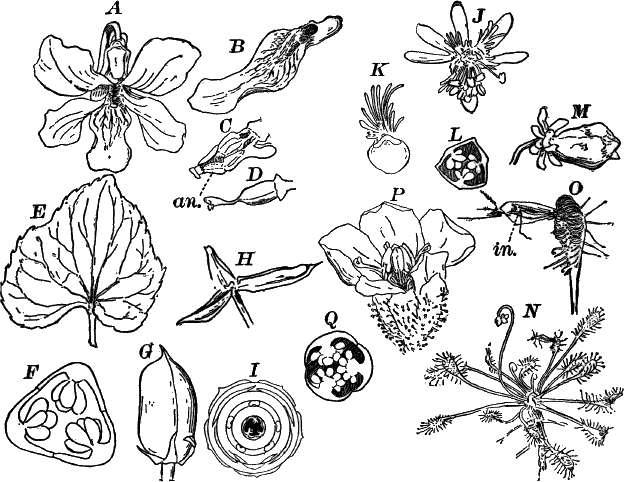 Fig.&nbsp;104.
