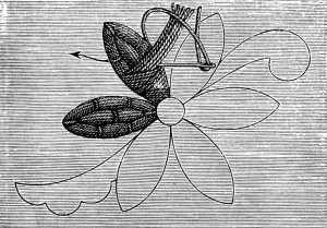 FIG. 234. EMBROIDERY IN THE TURKISH STYLE.
PREPARATORY WORK.
