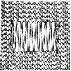 FIG. 373. DARNING ON THREADS STRETCHED
OBLIQUELY ACROSS.
POSITION OF THE THREADS.
