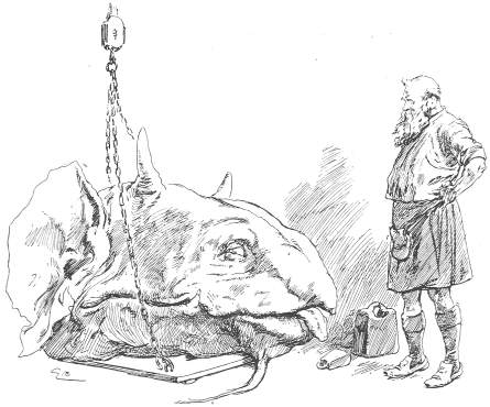 Ross weighing the beast&rsquo;s head