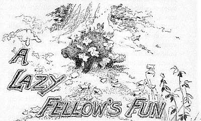 A LAZY FELLOW&rsquo;S FUN