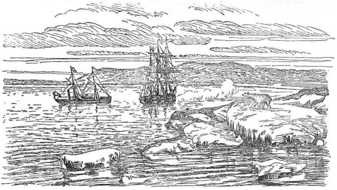 NORDENSKI&Ouml;LD'S SHIP, THE VEGA