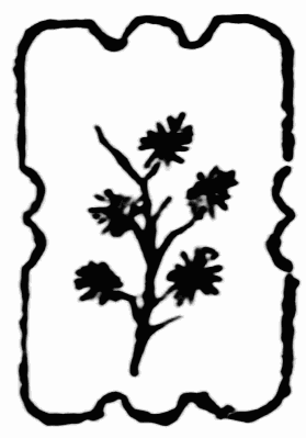 decoraci�n
