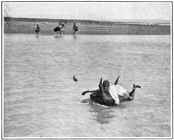 Travelling down the Indus on a &ldquo;Kik&rdquo;