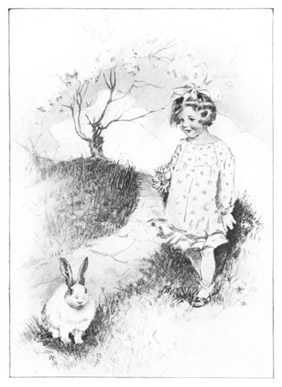 A RABBIT WORKS ITS EARS, AND TRIES
TO WATCH YOU WITH ITS RABBIT EYES