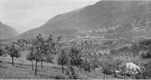 Figure 3.&mdash;Panorama of the village of Mechel in the
valley of the Non, birthplace of Father Borghesi.