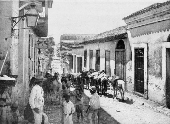 A MULE TRAIN, SANTIAGO DE CUBA. FROM A PHOTOGRAPH BY J.
F. COONLEY, NASSAU, N. P.