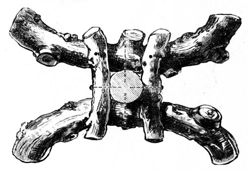 Fig. 32.&mdash;Foot of Rustic Table.