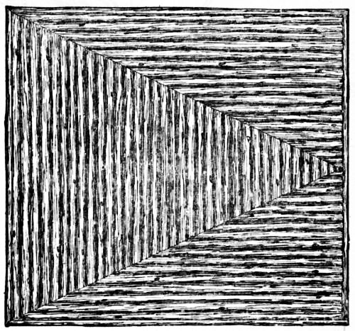 Fig. 120.&mdash;Half Plan of Aviary Roof.