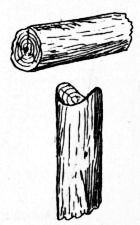 Fig. 129.&mdash;Twig Hollowed to fit Rail of Foot-bridge.