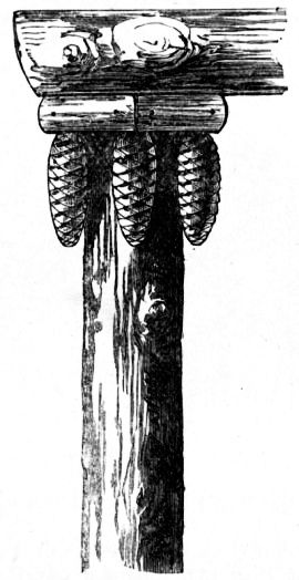 Fig. 141.&mdash;Enlarged Cap of Tool House Pilaster.