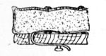Fig. 171.&mdash;Strapping Cushion to Seat.