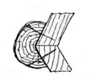 Fig. 23.&mdash;Section of Twigs at Angles of Vase.