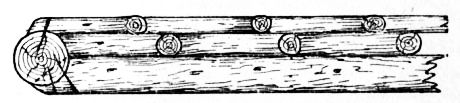 Fig. 84.&mdash;Section through End Post and Trellis.