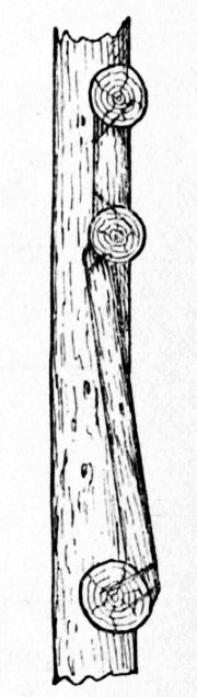 Fig. 85.&mdash;Detail of Back of Seat for Trellis.