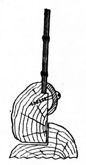Fig. 187.&mdash;Securing Glass to Rustic Casement.