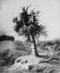 BRADDOCK’S GRAVE

FROM PAINTING BY PAUL WEBER, 1854