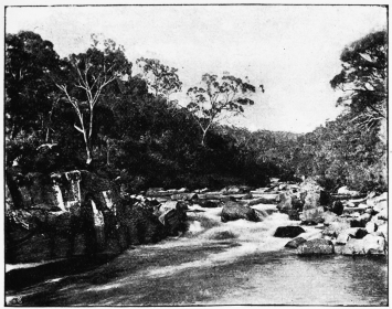 ON THE ESK RIVER, TASMANIA

(From a photograph by Major Aikenhead, Launceston)