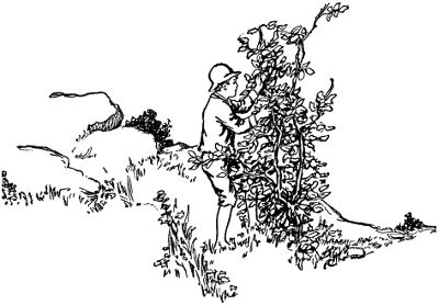 Peter gave the chair a violent push in the direction of the slope.
It rolled swiftly forward and in another minute had disappeared.