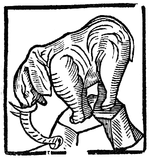 Text-fig. 20. “Yvery” = Ivory [The Grete Herball,
1529].