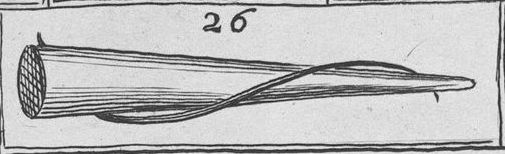 26
