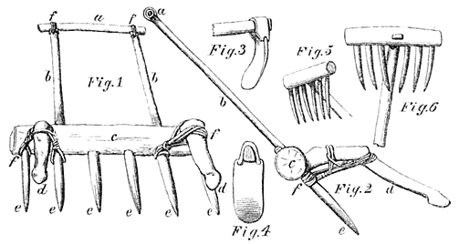 Ackerger&auml;th der Bicolindier.