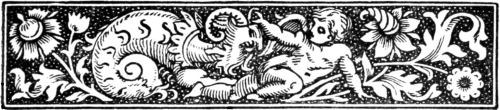 Ilustración de adorno