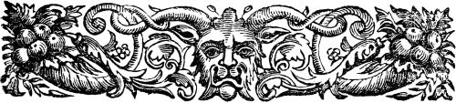 Ilustración de adorno