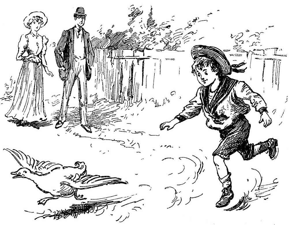 [Illustration]