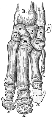 Fig. 624.