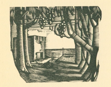 woodcut