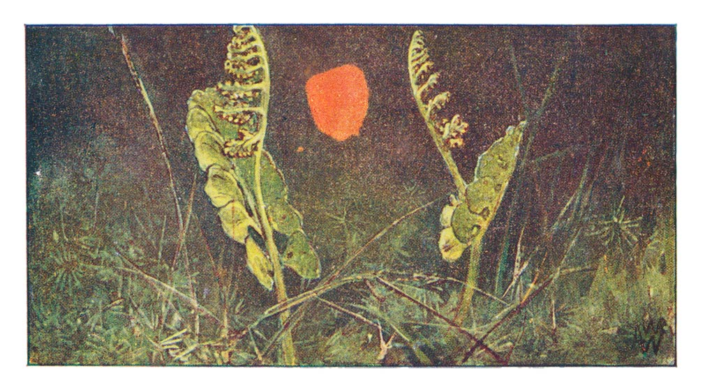 58