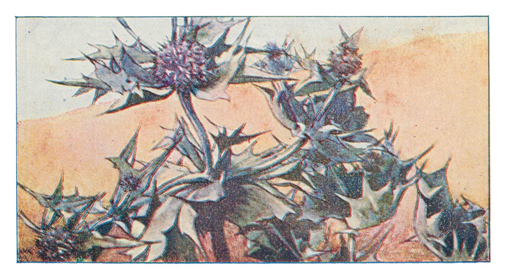 112