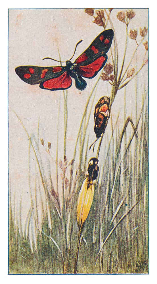 137