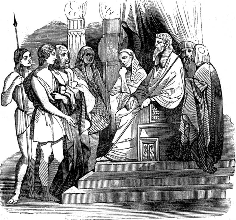Ilustración
