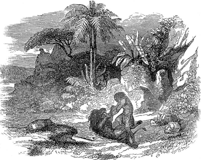Ilustración